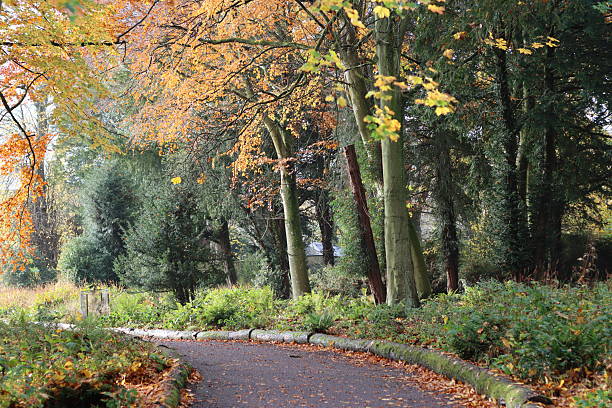 istock Path through a woodland garden in autumn 2250683734
