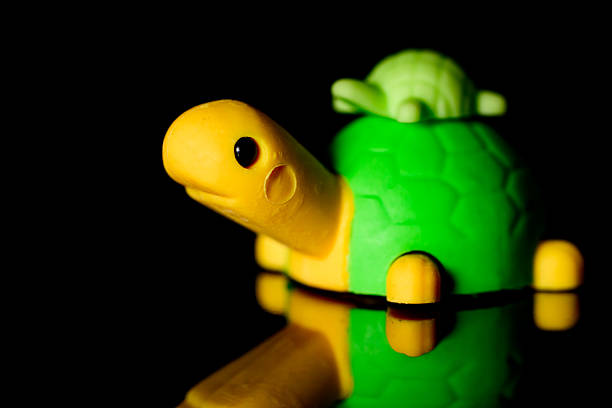 Plastic Childrens toy turtle shot against a black background