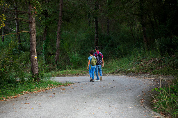A man and a woman with backpacks walk into a forested area from a rear perspective.