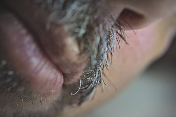 istock Man's lips and mustache close up view 2250686408
