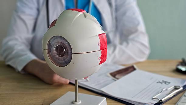 istock Model of an eye with a medical professional present in a clinic setting during a routine examination concept 2250688296