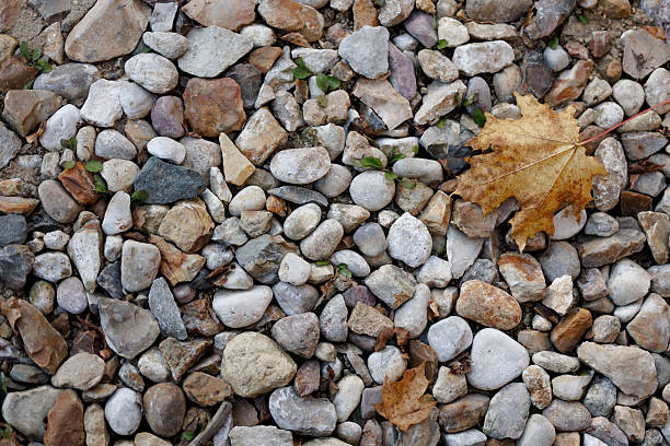 Close-up view of natural pebbles on the ground with a dry autumn leaf lying among the stones. Textured background ideal for themes of nature, environment, geology, and fall season concepts.