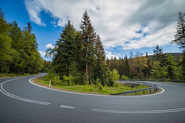 Serene mountain road curves through dense pine forest under a bright blue sky. Fresh asphalt, double white lines, roadside guardrails, and lush greenery evoke outdoor travel, scenic driving, and a sense of adventure in nature.