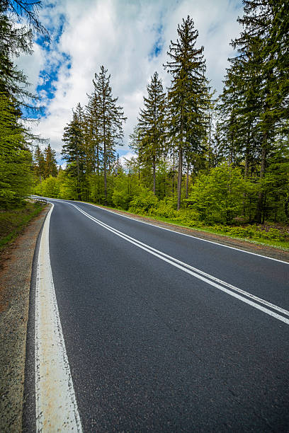 istock Winding road through a lush forest with tall evergreens and a bright blue sky above 2250691076