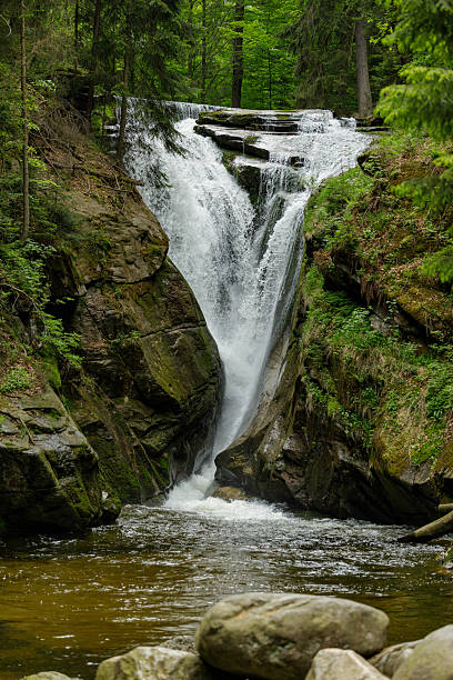 istock Serene forest waterfall cascading over rocks, surrounded by lush greenery and mossy cliffs in a tranquil woodland scene 2250691800