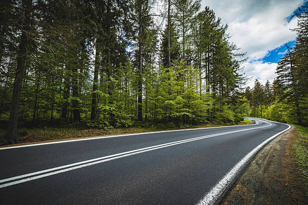 istock Winding forest road curves through lush trees on a sunny day along a quiet countryside path 2250691918