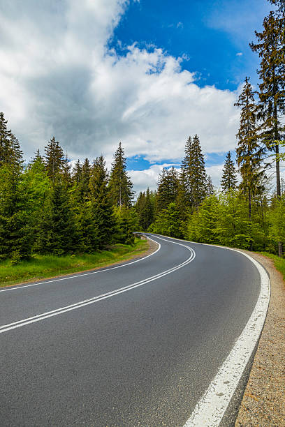 istock Curving forest road winds through evergreen trees under a bright blue sky 2250691932
