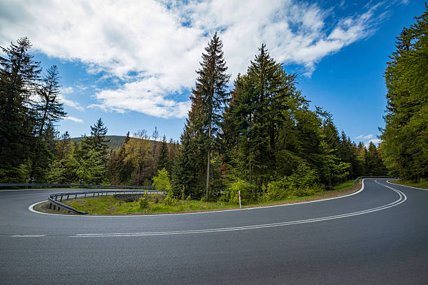 A winding asphalt road curves through a lush forest under a bright blue sky. Tall evergreen trees flank the roadway, guarded by rails, inviting a scenic drive or nature exploration with a tranquil, adventurous mood.
