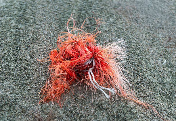 Frayed red braided synthetic rope in the grey sand
