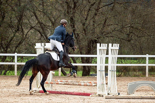 istock Equestrian rider and horse jumping obstacle during training 2250697508