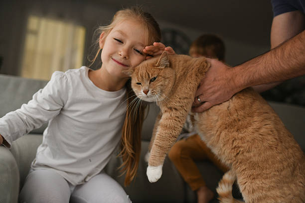 istock Brother and sister playing with a ginger cat on the couch. 2250700831