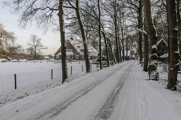 Avenue in snow with tree trunks in a row