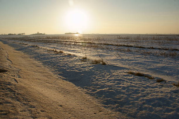 Badrzychowice, Poland. View of the surrounding fields in winter. A village in Poland located in the Świętokrzyskie Voivodeship, Busko County, and Nowy Korczyn Commune. Until 1954, it was the seat of the Grotniki Commune. From 1975 to 1998, the village administratively belonged to the Kielce Voivodeship. The green tourist trail from Wiślica to Grochowiska passes through the village.