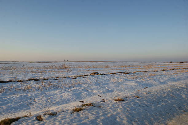 Badrzychowice, Poland. View of the surrounding fields in winter. A village in Poland located in the Świętokrzyskie Voivodeship, Busko County, and Nowy Korczyn Commune. Until 1954, it was the seat of the Grotniki Commune. From 1975 to 1998, the village administratively belonged to the Kielce Voivodeship. The green tourist trail from Wiślica to Grochowiska passes through the village.
