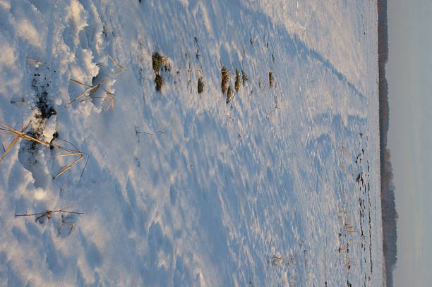 Badrzychowice, Poland. View of the surrounding fields in winter. A village in Poland located in the Świętokrzyskie Voivodeship, Busko County, and Nowy Korczyn Commune. Until 1954, it was the seat of the Grotniki Commune. From 1975 to 1998, the village administratively belonged to the Kielce Voivodeship. The green tourist trail from Wiślica to Grochowiska passes through the village.
