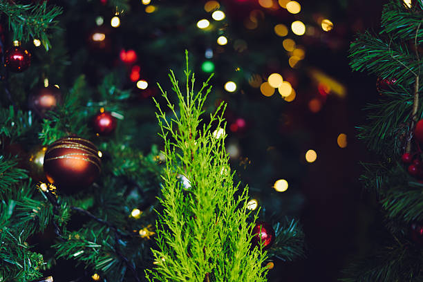 Roppongi Christmas tree decorations for 2021