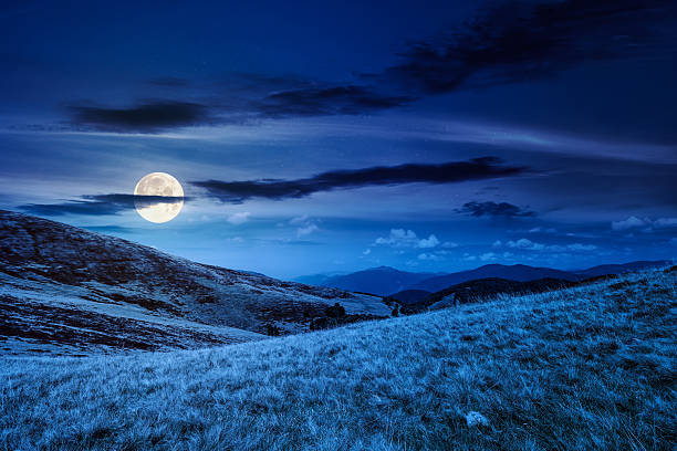 istock landscape with grassy meadow at night 2250713416