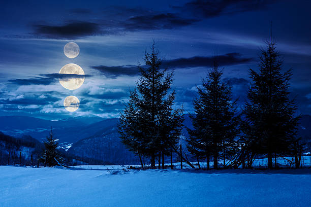 istock fir trees on the snowy meadow in winter at night 2250713629