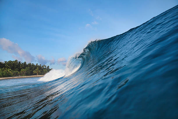 istock Energetic surf soaring over coral reef with dazzling sunlight reflections 2250719428
