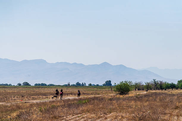 Bayzaq District, Kazakhstan - August 8, 2025. Telephoto of people riding on a horse in southern Kazakhstan.