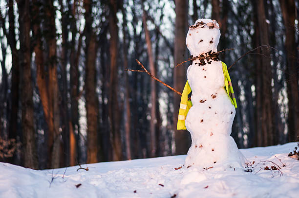Funny snowman in stylish brown hat and pink scalf on snowy field. Blue sky on background