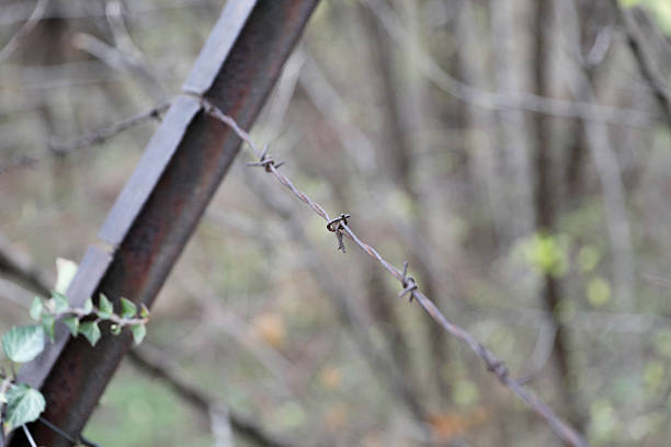 A Close-Up Of Rusted Barbed Wire Attached To A Weathered Metal Fence Post, Symbolizing Restriction, Boundaries, And Isolation In A Rural Landscape.