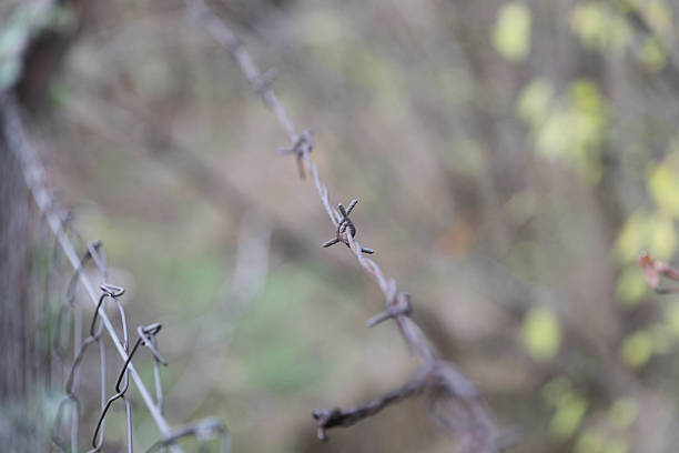 A Close-Up Of Rusted Barbed Wire Attached To A Weathered Metal Fence Post, Symbolizing Restriction, Boundaries, And Isolation In A Rural Landscape.