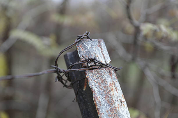 A Close-Up Of Rusted Barbed Wire Attached To A Weathered Metal Fence Post, Symbolizing Restriction, Boundaries, And Isolation In A Rural Landscape.