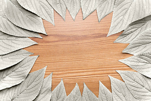 leaf frame on light wood color of the year 2026 cloud white dancer