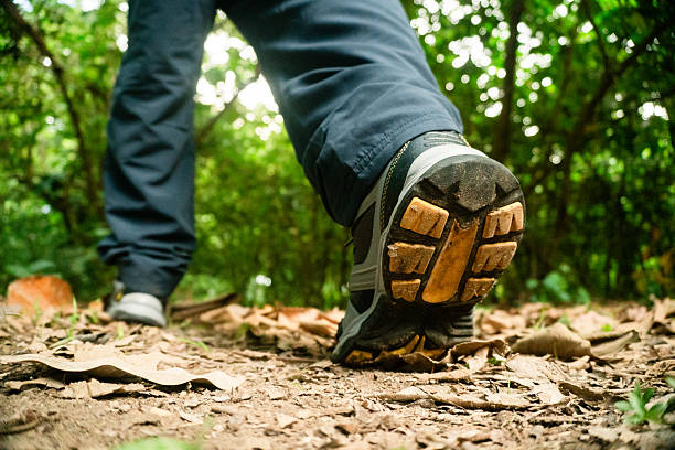 istock Person hiking on forest path wearing trekking boot 2250739462