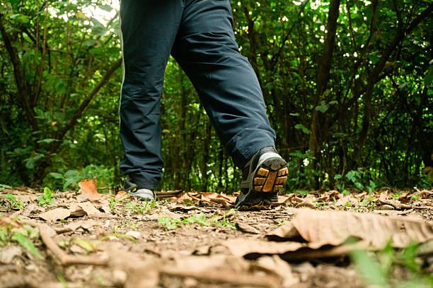 Person walking on a dirt path with fallen leaves, surrounded by green trees