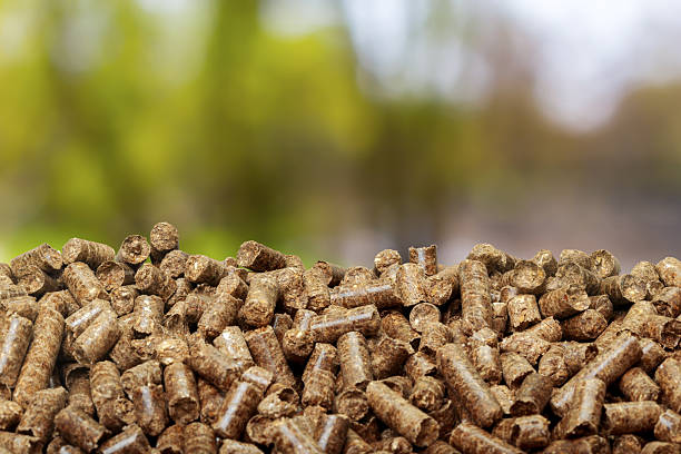 istock Wood pellets on display in a scenic outdoor setting ready for use as fuel 2250742944