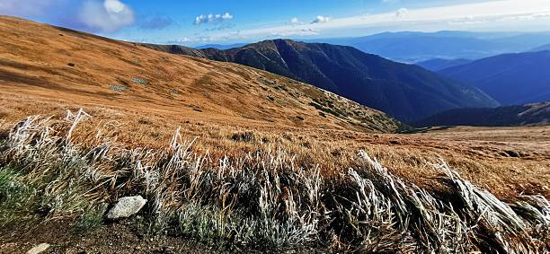 Low Tatras in frost