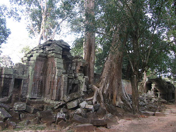 istock Ta Prohm temple ruins at Angkor 2250746705