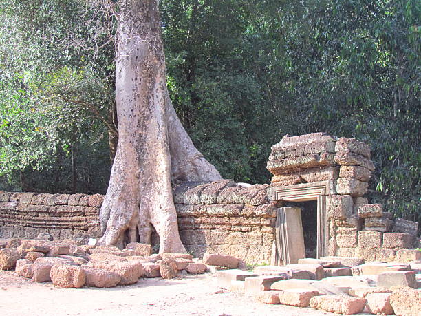 istock Ta Prohm temple ruins at Angkor 2250746809