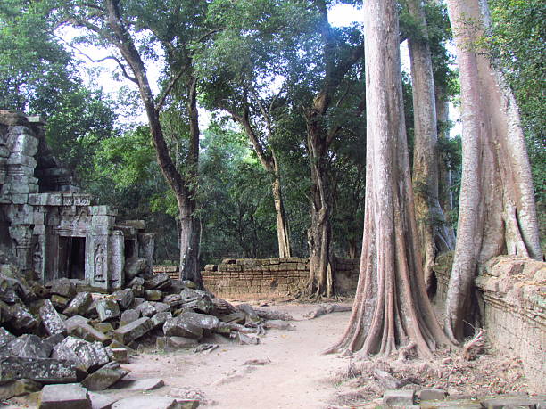 istock Ta Prohm temple ruins at Angkor 2250746957