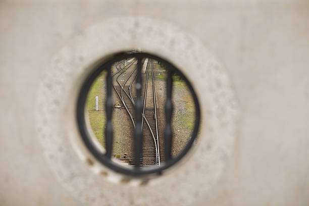 istock Urban nature perspective, Concrete frame surrounds delicate branches 2250748921