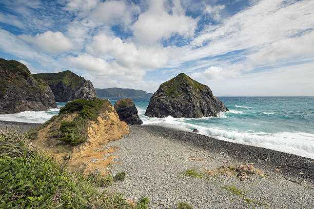wild rocky honohoshi coast in southern amami-o-shima island in japan.