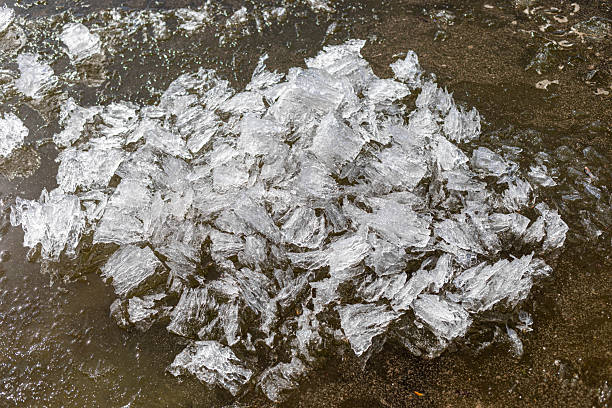 Ice fragments scattered on wet ground creating a natural texture display