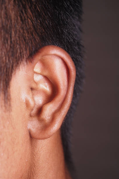 istock Detailed view of a human ear in natural light setting 2250755699