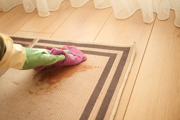 istock Cleaning a dirty rug during the day at home 2250756445