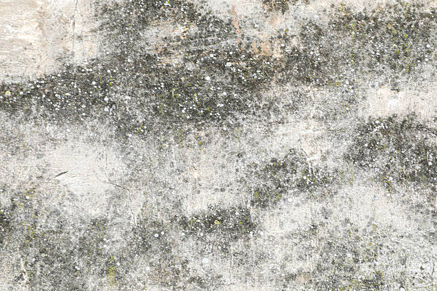Weathered Concrete Wall Texture With Scratches, Stains, And Rough Surface Details, Suitable As An Abstract Background Or Construction Material Concept.