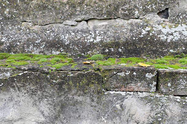 istock Cracked Exterior Wall With Moss And Weather Damage 2250758972