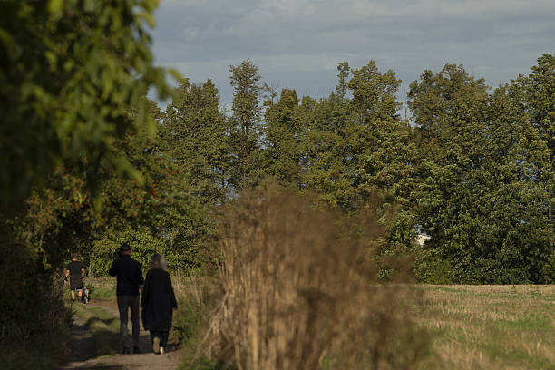 Individuals sharing tranquil forest walk, Duo wandering gently along wooded trail during late sunlight hours