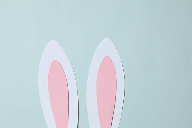 istock Happy Easter. White bunny ears on color background, space for text or advertising 2250765178