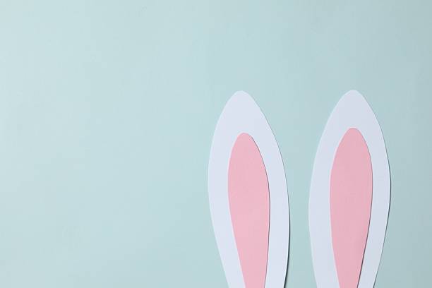 istock Happy Easter. White bunny ears on color background, space for text or advertising 2250765179
