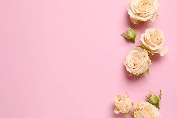 istock Beautiful composition with peony roses on color background 2250766244