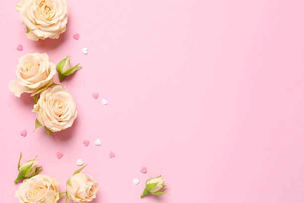 istock Beautiful composition with peony roses on color background 2250766246