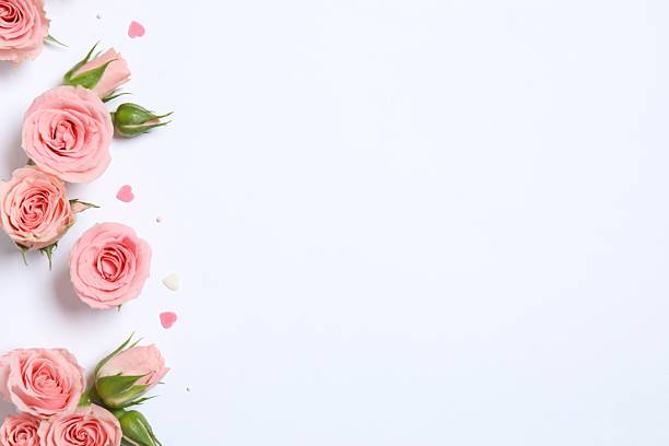 istock Beautiful composition with peony roses on white background 2250767926