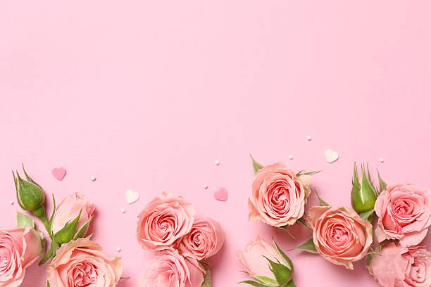 istock Beautiful composition with peony roses on color background 2250767935